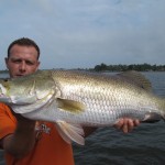 Barramundi Bolgoda