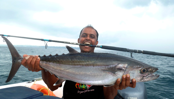 Dogtooth Tuna on Stickbait