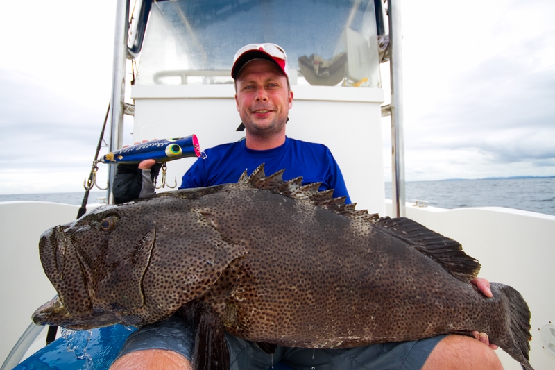 Kirinda Grouper