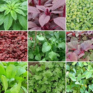 Greens / Leafy Vegetables Combo Seeds